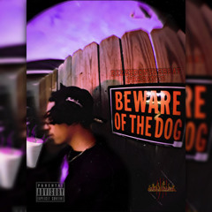 Beware of The Dog
