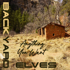 Anything You Want (Sample)