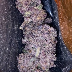 Seven X Young Haych - LCity Diss