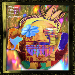 Bloom Where You're Planted [Instrumental]