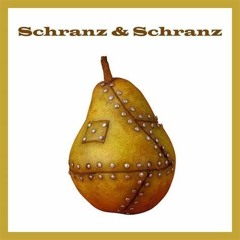 15min Schranz