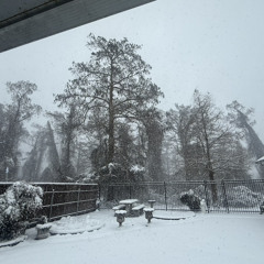 Hurricane Wisdom - the way life goes (freestyle)