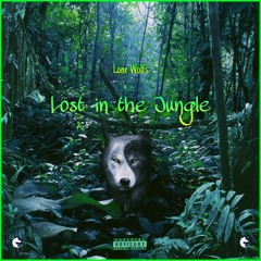 Lost in the jungle