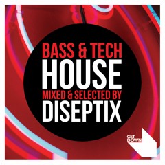 Bass & Tech House compilation mixed by Diseptix [OUT NOW]