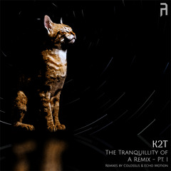 K2T - The Tranquillity of Being With The Self (Colossus VIP Remix) [Premiere]