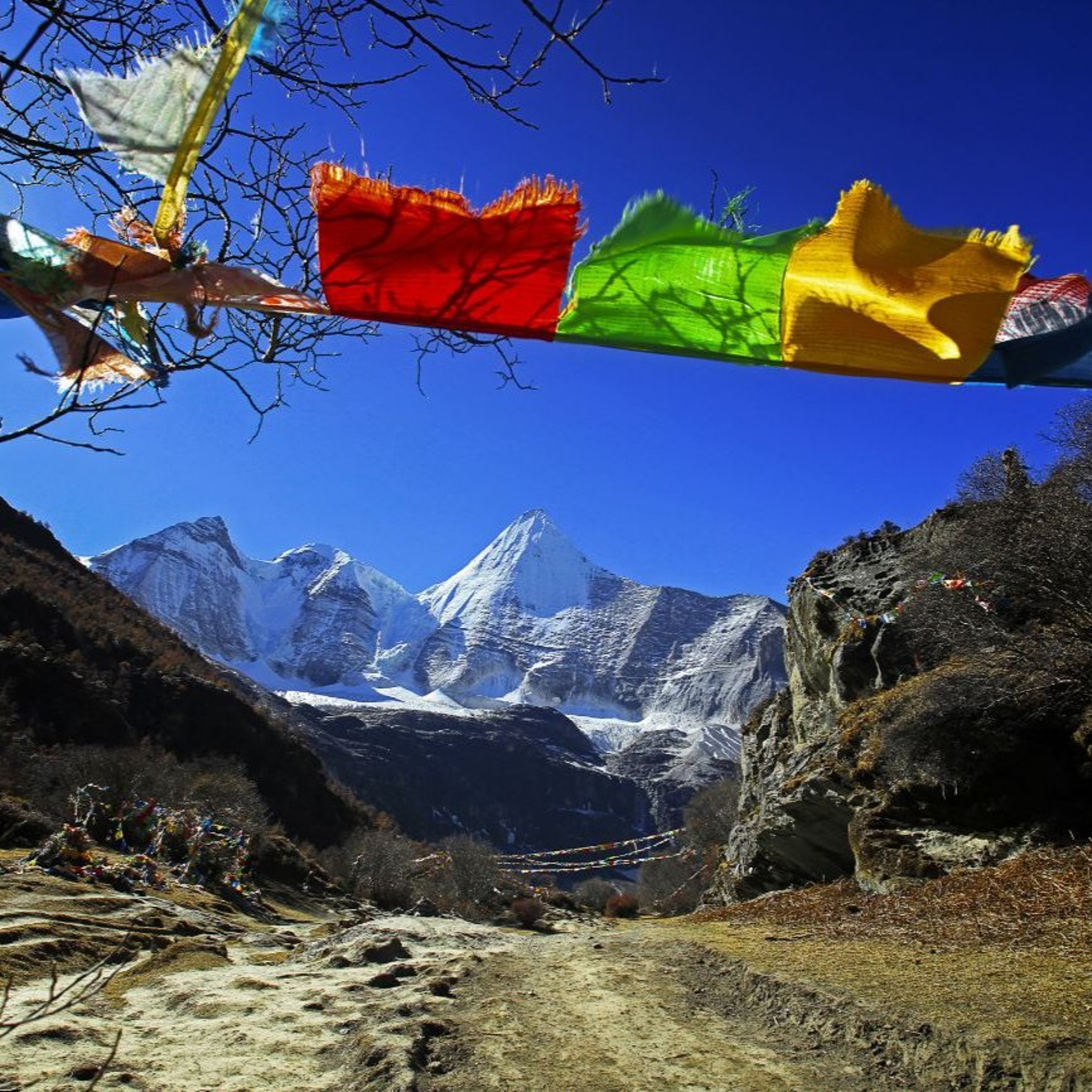 Best of Awake in the World: Not Giving Up On Ourselves & Fully Inhabiting Our Lives