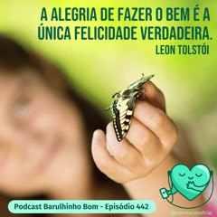 442 O segredo da borboleta