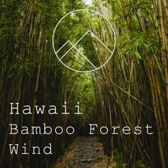Hawaii - Wind In The Bamboo Forest - 25 minutes of Nature