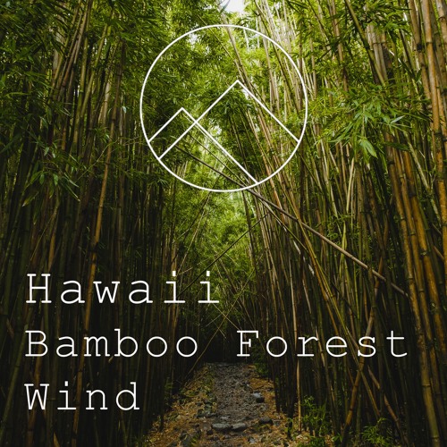 Hawaii - Wind In The Bamboo Forest - 25 minutes of Nature