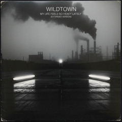 My Life Feels So Heavy Lately (Extended Version) Wildtown