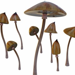 Spore Language (All Original Mix)