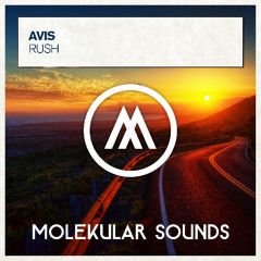 Avis - Rush