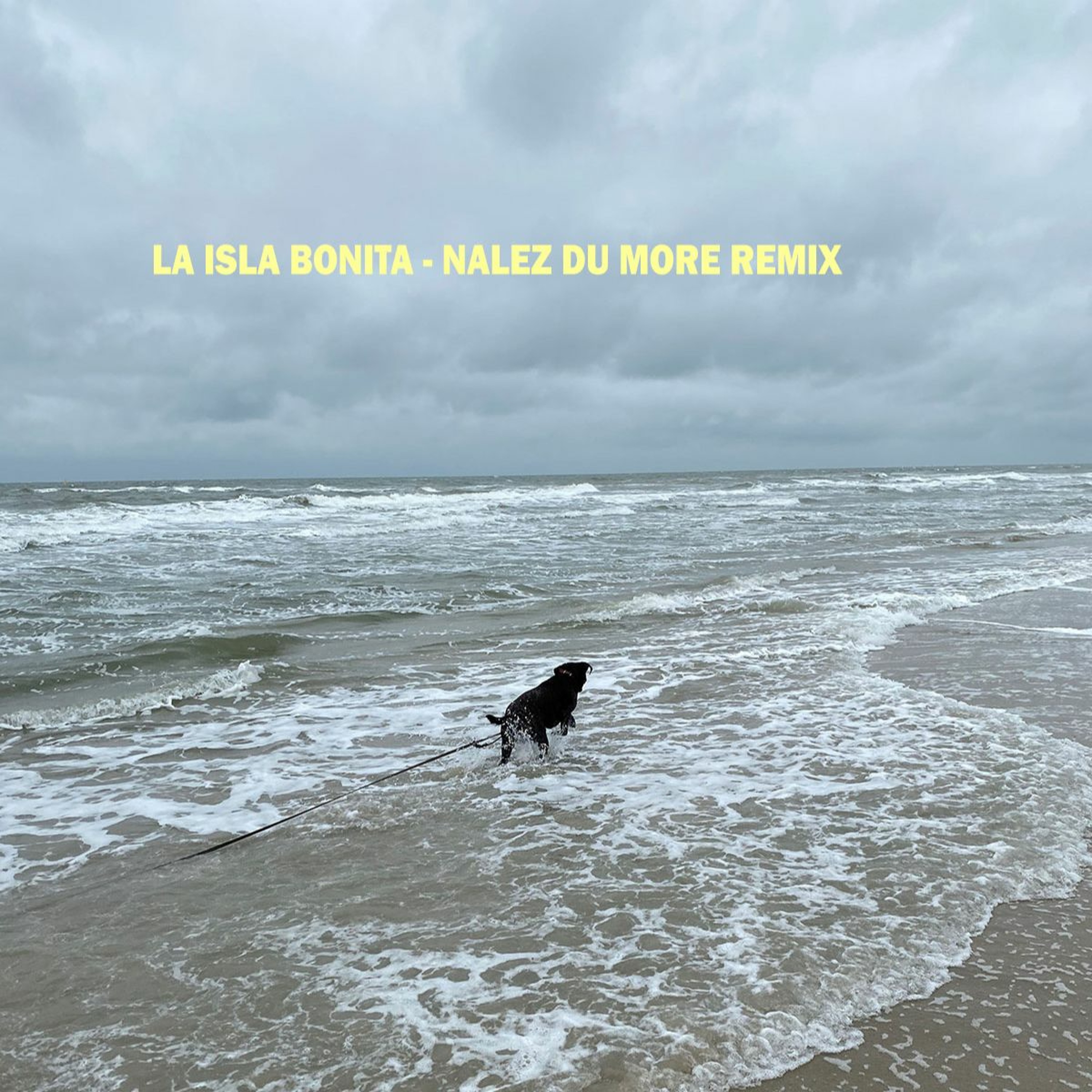 Nalez  Du More