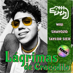 WIU - Lágrimas de Crocodilo (Shavozo X Taylor Sier Remix) 🐊