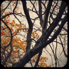 Still have Hella feelings