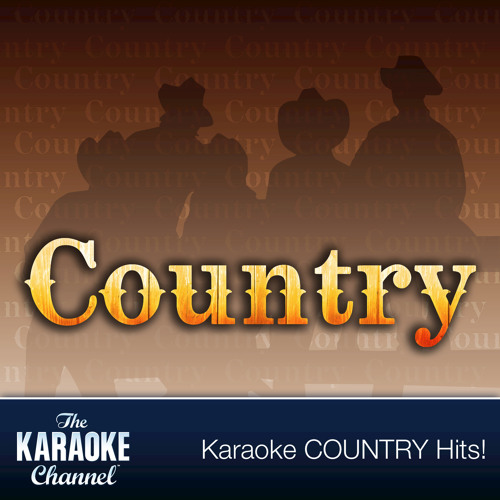 The Karaoke Channel - In the style of Sylvia - Vol. 1