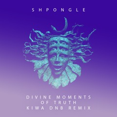 Shpongle - Divine Moments of Truth [KIWA Drum & Bass Remix] FREE DOWNLOAD
