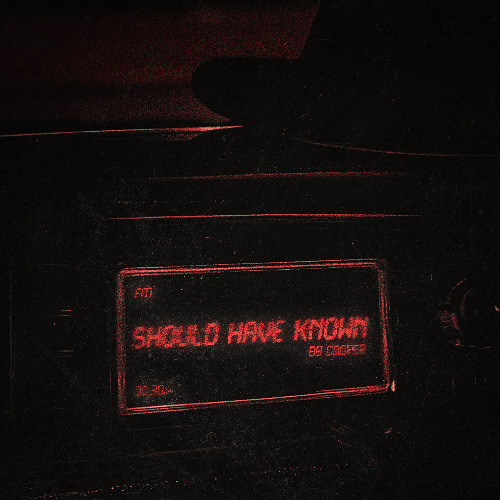 I Should Have Known