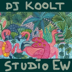 DJ Koolt at Studio Elegantly Wasted || 18-05-2019