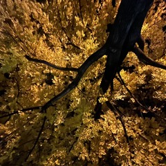 lovedrugs (occult14)