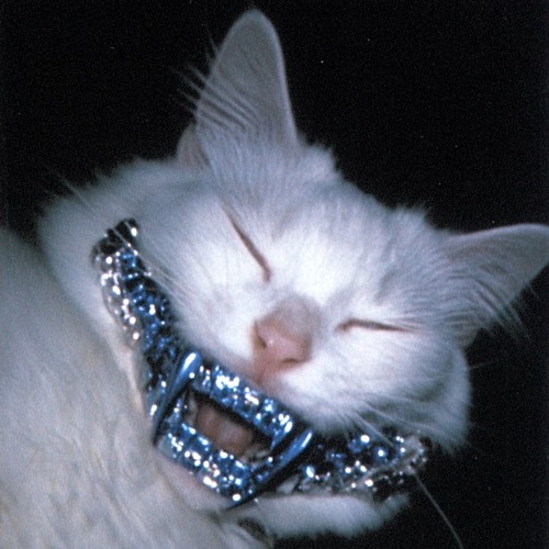 WE GET IT w Dextris {p.maf1nb3ats}