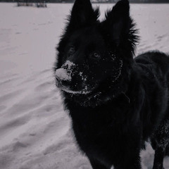 entry 4 (jaydes cover) - maiky