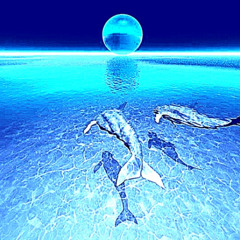 WINTER @xbops @prod.frosty