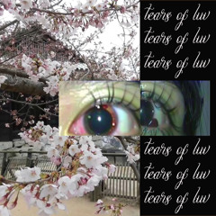 слезы любви*(takuori)