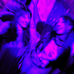 Trippin'