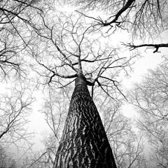 myPo's Demo Mix 3.0 Melodic, Progressive House