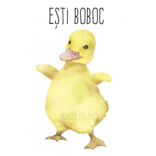 JEG SUB UNGHII FEAT.