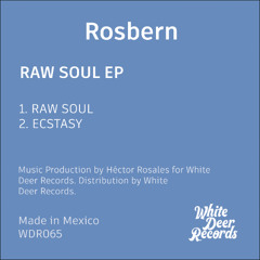 [WDR065] Rosbern - Raw Soul EP (Sept 2025)