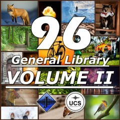 Sample - 96 General Library (Volume II)