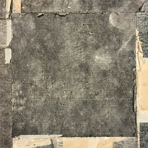 Philipp Bückle & Fernando José Pereira - A Swift Rustling Sensation In A Library