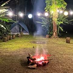 No Terreiro da Mata - Os Filhos do Caçador 🏹 (Arthur Magalhães)