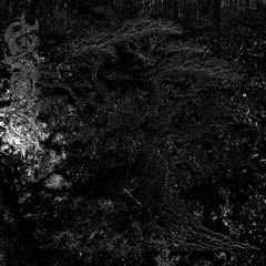 Where Nothing Ever Changes and Always Stays the Same