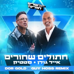 אייל גולן & סטטיק - חתולים שחורים (Dor Gold & Guy Hoss Remix)