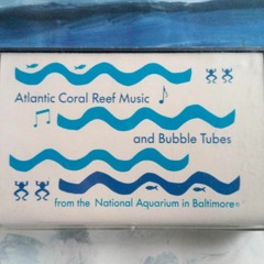 Atlantic Coral Reef Music 32 - Bit Float PCM No Amp