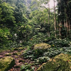 GB 84 - Inilah Ungkapan Syukurku