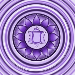 Alternative trap/Electronic ambiance