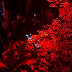 Melodic techno 29.12.2024