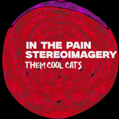 Stereoimagery - In The Pain [THEM COOL CATS]