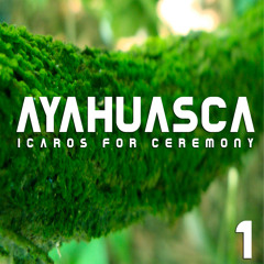 aya24.2