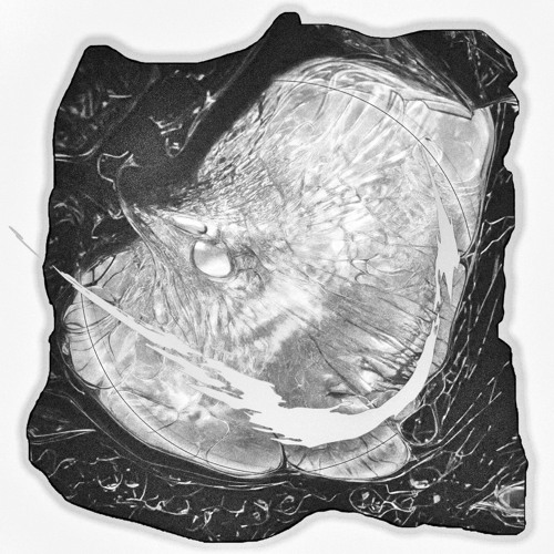 Skrillex & Hamdi (ft. Taichu) - Push (Ghost Lotus Remix)