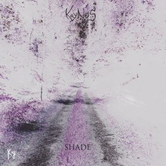 Shade (prod. Septfree) [slowed + pitched down]