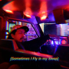 I Fly In My Sleep Vol. II - Batsy