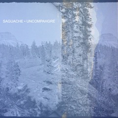 Saguache