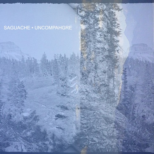 Saguache