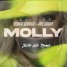Justin Nils- Molly- Cedric Gervais & Joel Corry (Remix)