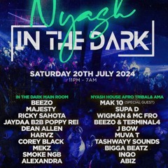 In The Dark x Nyash